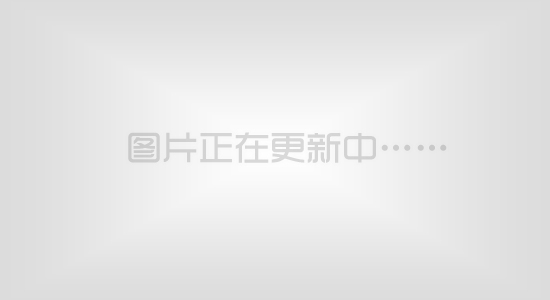 中國卡車應向專用車方向發展